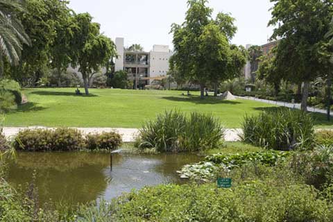 campus