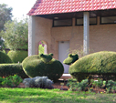 topiary